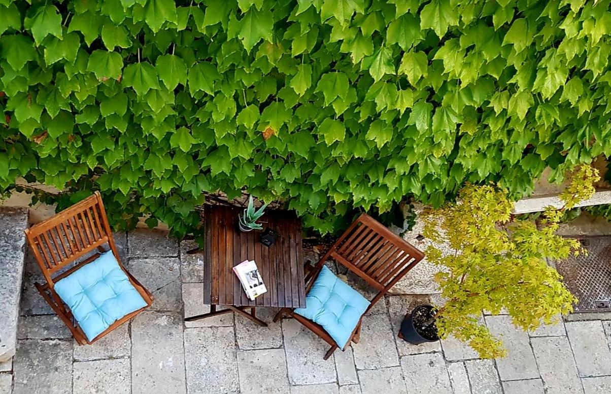 Villa Ani Apartment Coral دوبروفينك المظهر الخارجي الصورة